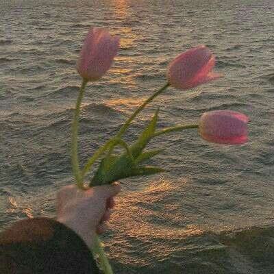 乐鱼app下载下载手机版截图